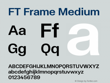 FT Frame Medium Version 1.000;FEAKit 1.0图片样张