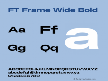 FT Frame Wide Bold Version 1.000;FEAKit 1.0图片样张