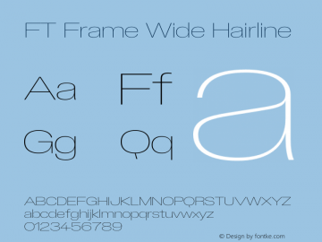 FT Frame Wide Hairline Version 1.000;FEAKit 1.0图片样张
