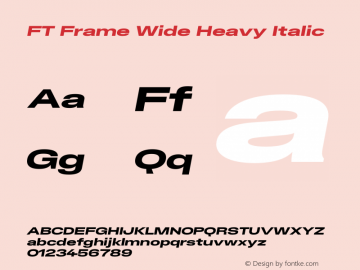 FT Frame Wide Heavy Italic Version 1.000;FEAKit 1.0图片样张