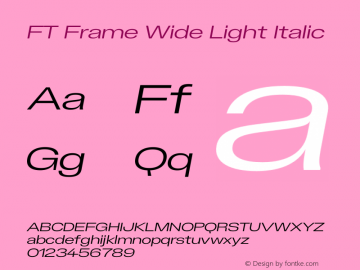 FT Frame Wide Light Italic Version 1.000;FEAKit 1.0图片样张