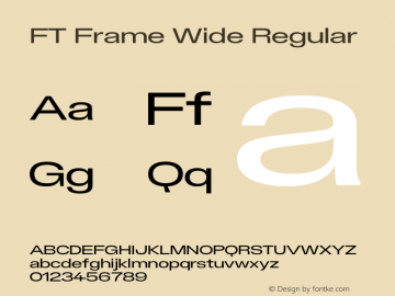 FT Frame Wide Regular Version 1.000;FEAKit 1.0图片样张