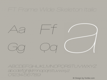 FT Frame Wide Skeleton Italic Version 1.000;FEAKit 1.0图片样张