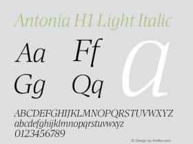 Antonia H1 Light Italic Version 1.007图片样张