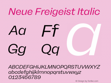 NeueFreigeist-Italic Version 1.000图片样张