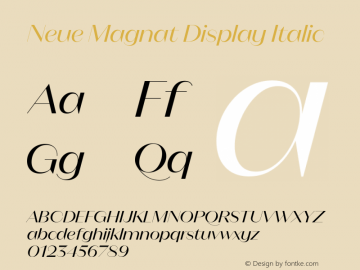 Neue Magnat Display Italic Version 1.000图片样张