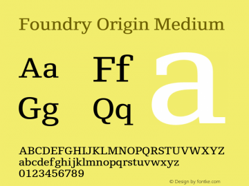 Foundry Origin Medium 1.000图片样张