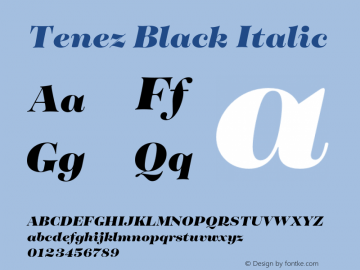 Tenez Black Italic Version 1.000;PS 001.000;hotconv 1.0.88;makeotf.lib2.5.64775图片样张