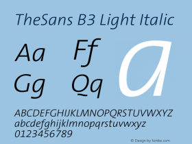 TheSans B3 Light Italic 001.000 Font Sample