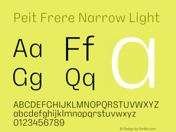 PeitFrere-NarrowLight Version 1.000;FEAKit 1.0图片样张