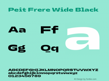 Peit Frere Wide Black Version 1.000;FEAKit 1.0图片样张