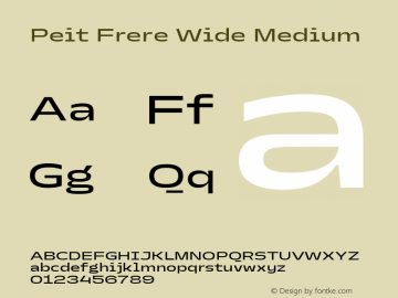 Peit Frere Wide Medium Version 1.000;FEAKit 1.0图片样张