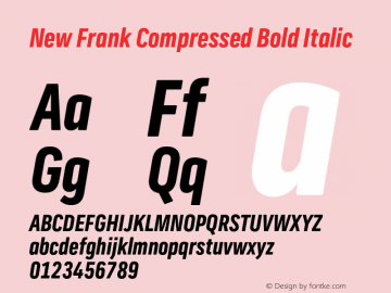 New Frank Compressed Bold Italic Version 2.101;FEAKit 1.0图片样张
