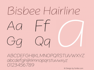 Bisbee Hairline Version 1.000图片样张