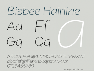 Bisbee Hairline Version 1.000图片样张