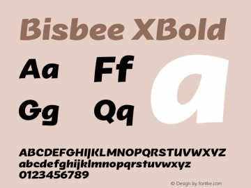 Bisbee XBold Version 1.000图片样张
