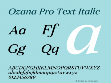 Ozana Pro Text Italic Version 1.000;FEAKit 1.0图片样张