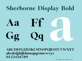 Sherborne Display Bold Version 1.003;FEAKit 1.0图片样张
