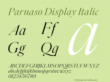 Parnaso Display Italic Version 1.000;FEAKit 1.0图片样张