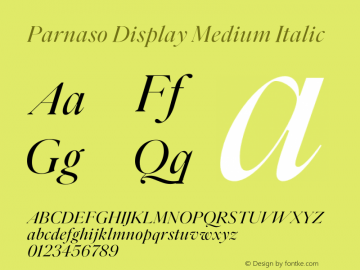 Parnaso Display Medium Italic Version 1.000;FEAKit 1.0图片样张