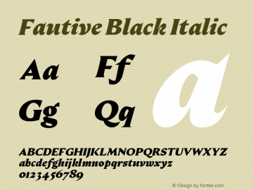 Fautive Black Italic Version 1.000图片样张