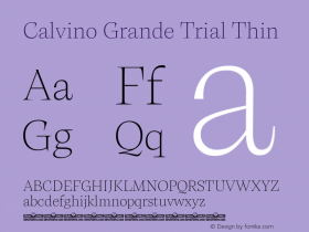 Calvino Grande Trial Thin Version 1.000图片样张