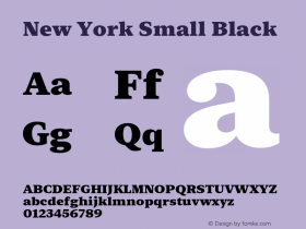 New York Small Black Version 15.0d5e2m (Sys-15.0d4e34)图片样张