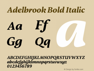 Adelbrook Bold Italic Version 1.000图片样张