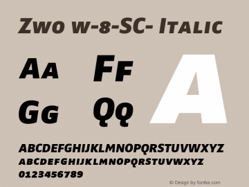 Zwo w-8-SC- Italic 4.313图片样张