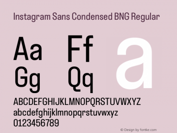 Instagram Sans Condensed BNG Regular Version 1.000; ttfautohint (v1.8.4)图片样张