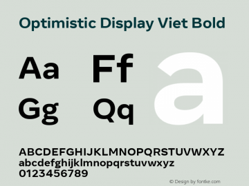 Optimistic Display Viet Bold Version 2.000图片样张