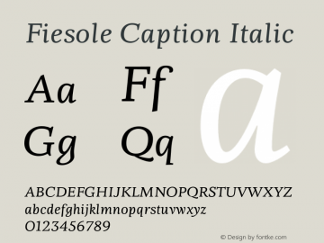 Fiesole Caption Italic Version 1.001图片样张