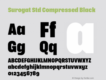 Surogat Std Compressed Black Version 5.0; 2014图片样张