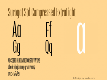 Surogat Std Compressed ExtraLight Version 5.0; 2014图片样张