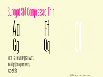 Surogat Std Compressed Thin Version 5.0; 2014图片样张