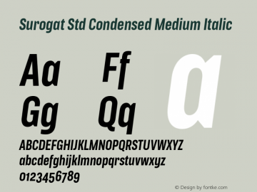 Surogat Std Condensed Medium Italic Version 5.0; 2014图片样张