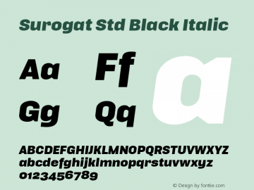Surogat Std Black Italic Version 5.0; 2014图片样张