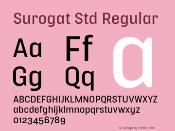 Surogat Std Regular Version 5.0; 2014图片样张