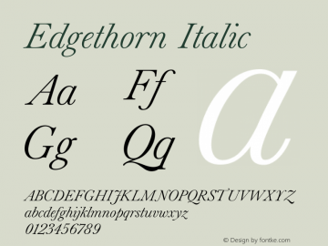 Edgethorn Italic Version 1.000;FEAKit 1.0图片样张