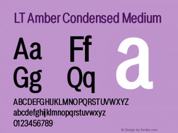 LT Amber Condensed Medium Version 1.000 | FøM Fix图片样张