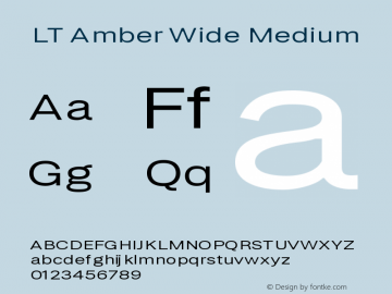 LT Amber Wide Medium Version 1.000 | FøM Fix图片样张