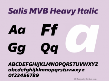 Salis MVB Heavy Italic Version 1.005;hotconv 1.0.118;makeotfexe 2.5.65603图片样张