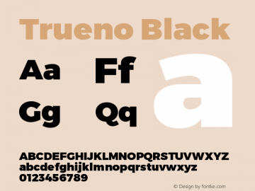 Trueno Black Version 3.001b | FøM Fix图片样张