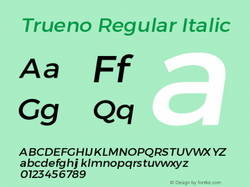 Trueno Regular Italic Version 3.001b | FøM Fix图片样张
