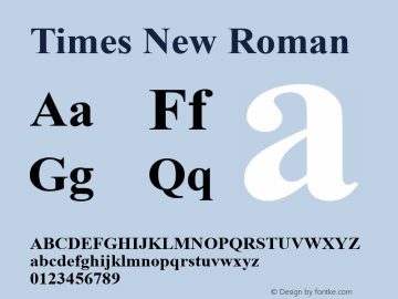Times New Roman  Version 7.03; zFontTool图片样张