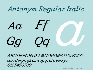 Antonym Regular Italic Version 1.002 | FøM Fix图片样张