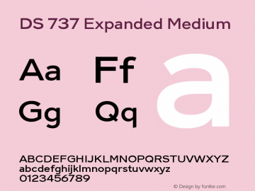 DS 737 Expanded Medium Version 1.000 | FøM Fix图片样张