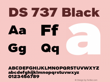 DS 737 Black Version 1.000;hotconv 1.0.109;makeotfexe 2.5.65596图片样张