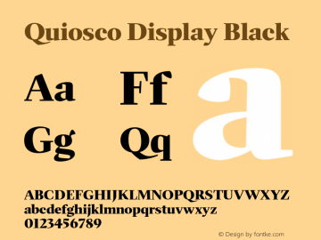 Quiosco Display Black Version 1.000图片样张