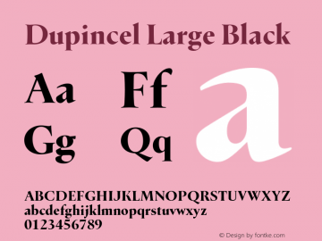 DupincelLarge-Black Version 1.000图片样张